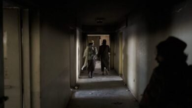 photo 2021 11 23 13 38 52 1024x679 1