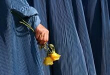 photo 2026 03 08 22 12 30