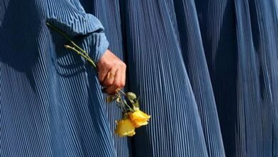 photo 2026 03 08 22 12 30