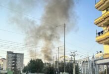 photo 2026 03 13 10 29 42