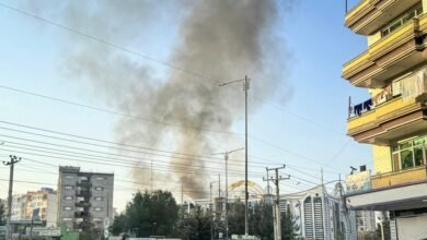 photo 2026 03 13 10 29 42