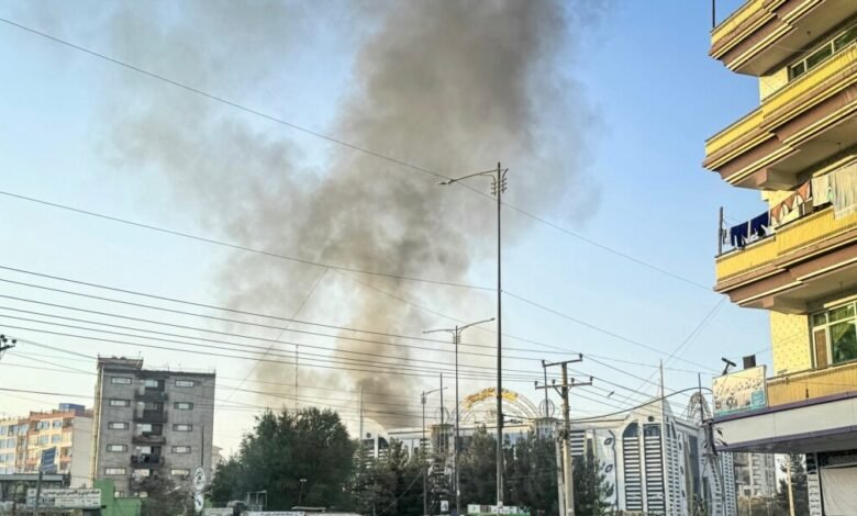 photo 2026 03 13 10 29 42