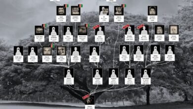 photo 2026 03 14 17 33 36