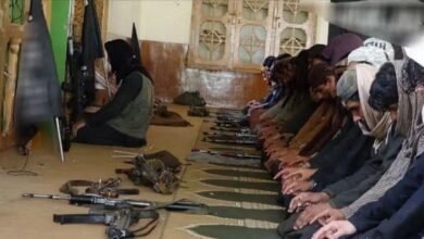 photo 2026 03 28 23 55 17