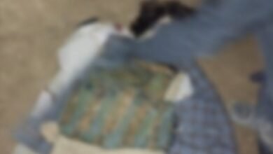 photo ۲۰۲۶ ۰۳ ۰۸ ۲۰ ۳۱ ۱۸