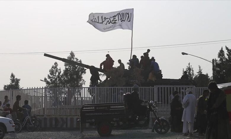 thumbs b c 34e12a22379eabe871b382cab404b197