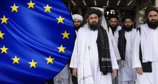 42f8768e 97ad 42e7 8cab 0bffa94e76ce