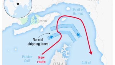 658560823 954370123741480 4891258955905719633 n