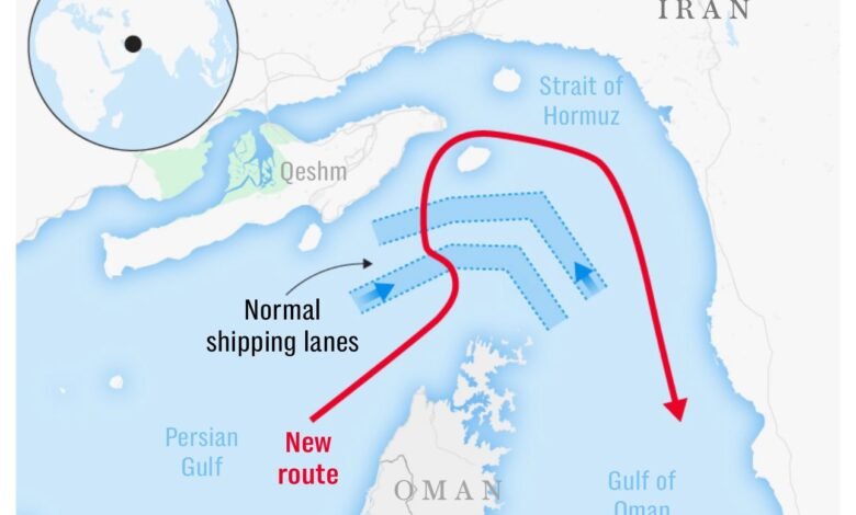 658560823 954370123741480 4891258955905719633 n