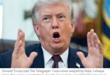 658975550 954563343722158 6230903404603962350 n