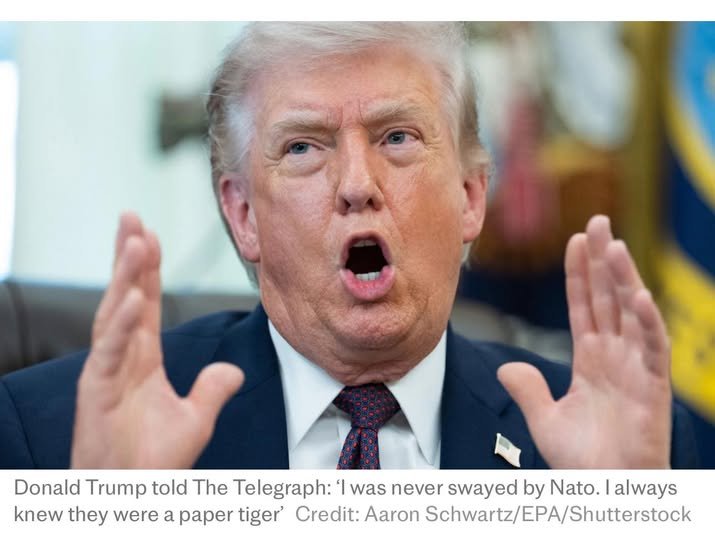 658975550 954563343722158 6230903404603962350 n