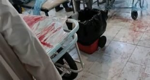 666665971 26601158206184351 4219416921244232365 n