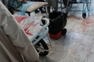 666665971 26601158206184351 4219416921244232365 n