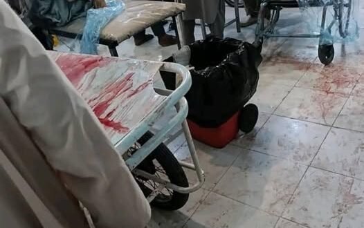 666665971 26601158206184351 4219416921244232365 n