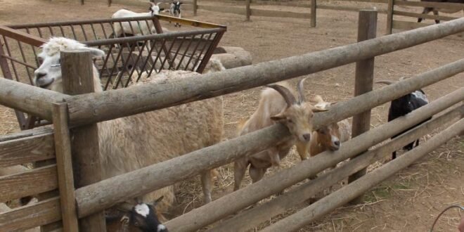 HJmifPSY6t35LogWBpePckOf IdenX4yUuVfEek5tdTUVWK05LjVbMudWxXgsovIVYNzDAv 5c3V1lhZc3ax43cwskd74DIwxU8bgRTmyvAt2N4iGRbkvF3az6UQlVyZtsaggQ jodaL2QS62fnouUdcjzSld5UKNr uhRQyjld4kx4 WHoWovv8xMVJXhdX