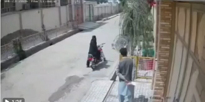 b3e8fc18 b13d 4231 a806 2185184529b1