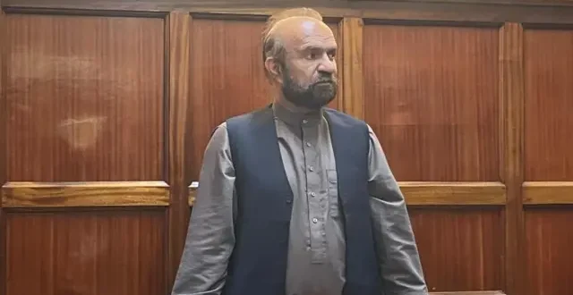 dbf82fc0 3014 11f0 a4eb 7f373ea0fb8b.jpg