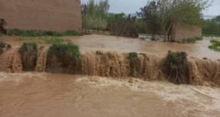 flood 1