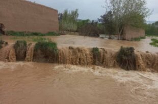 flood 1
