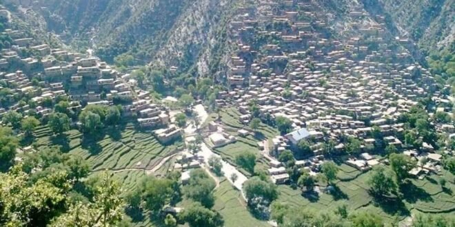 photo 2026 04 07 19 18 25