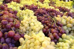 grapes