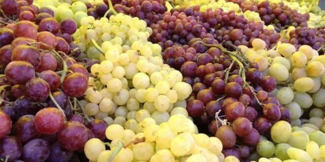 grapes