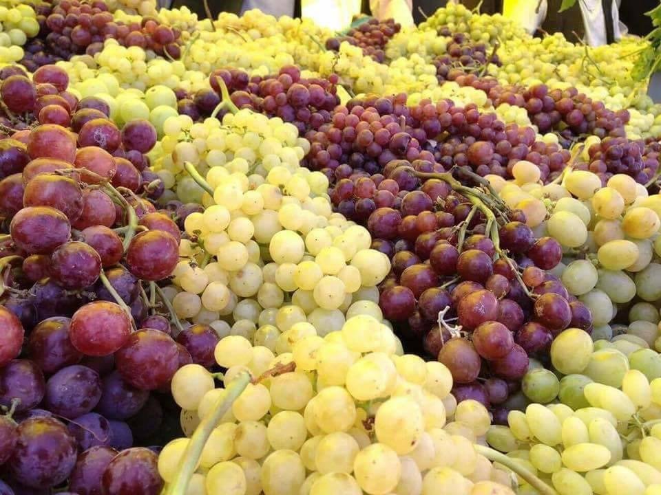 grapes